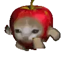 Cute Cat with Apple Hat Eating Apple Sticker