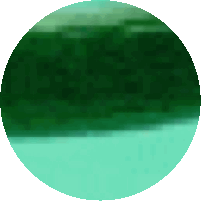 Animated Tickle Sticker