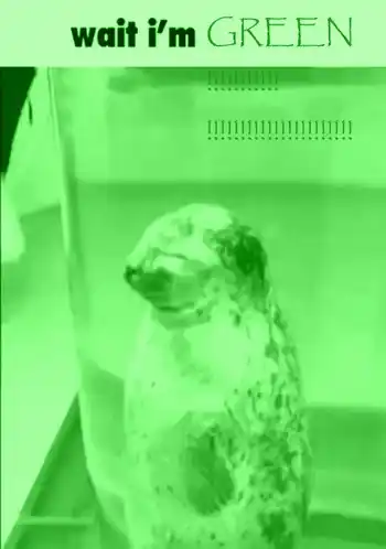 Green Green Seal