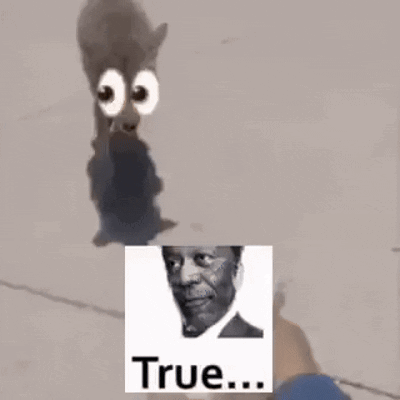 Dog True Eyes True Meme