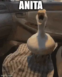 Anita