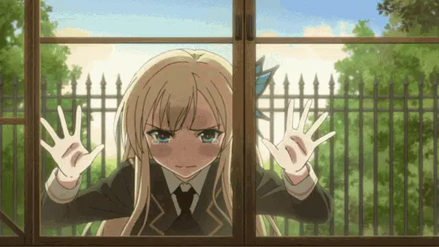 Sena Kashiwazaki Sena Window