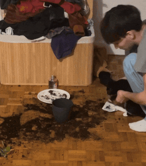 Repairing Cat