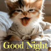GIF uploaded by A