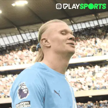 Premier League Pl