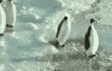Eduardo рдиреЗ рдЕрдкрд▓реЛрдб рдХреЗрд▓реЗрд▓рд╛ GIF