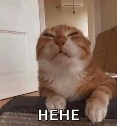 Aww Aww Cute