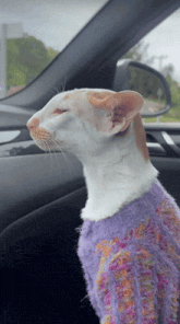 GIF