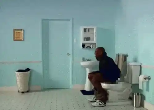 Toilet Flying