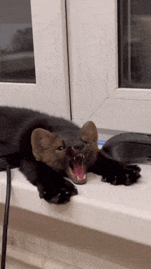 GIF
