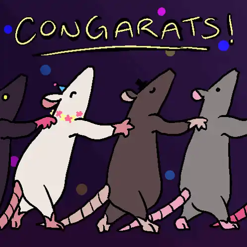 Rat Conga