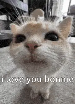 Bonnie Bonnie Meow Bonnie
