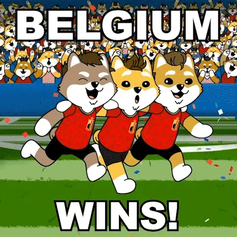 Belgium Wins Belgium Goal