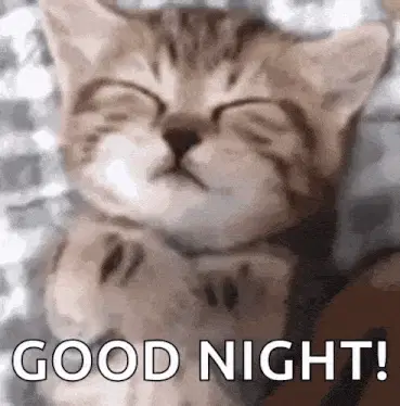 Meo – free GIF download | memes GIF | meme platform