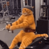 GIF naložil Ryan