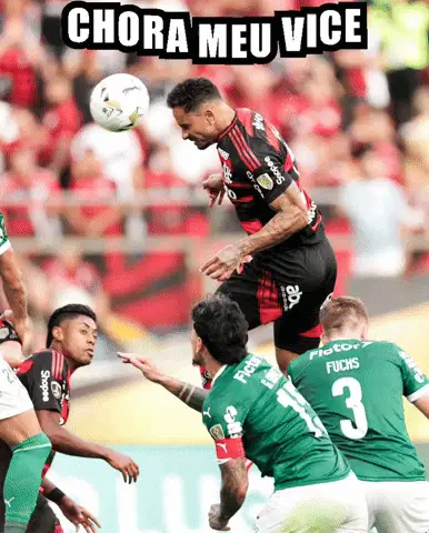 Vice Palmeiras