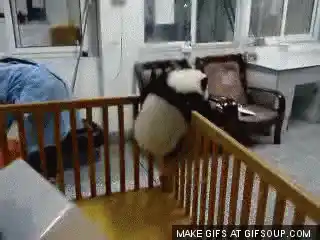 Escape