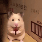 GIF May tarapyndan ýüklenen
