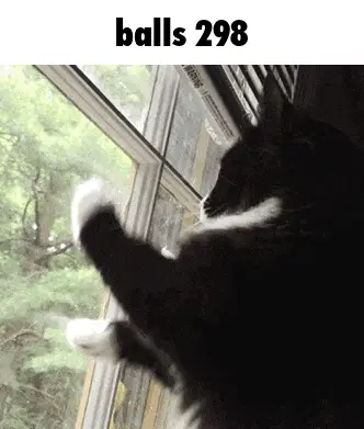 Balls 298