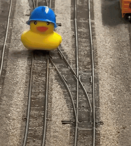 TCJAtwxk4q1GfRZI1.gif