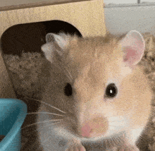 GIF na in-upload ni Olivia