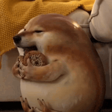 GIF uploaded by Ladybee