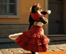 GIF