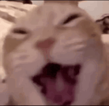 GIF uploaded by William