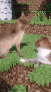 GIF uploaded by Raki Biswas