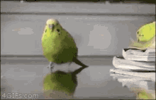 GIF