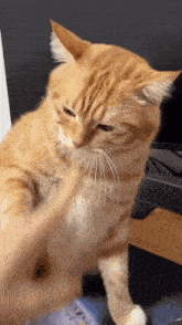 GIF uploaded by Angel