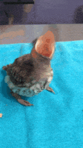 GIF uploaded by MK