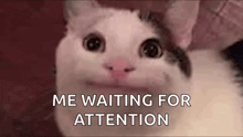GIF gi-upload ni Mariam