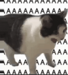 GIF uploaded by Giovanni