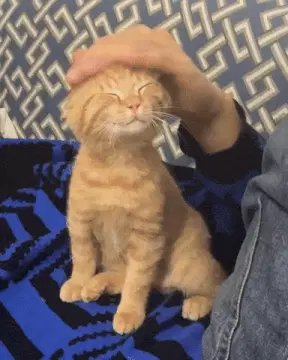 attachment
