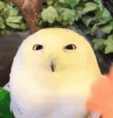 GIF uploaded by Saige