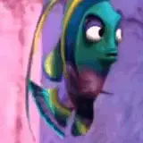 Fish Angry – tiktok memes meme GIF free download no watermark 2026