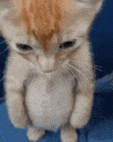 Leila байршуулсан GIF