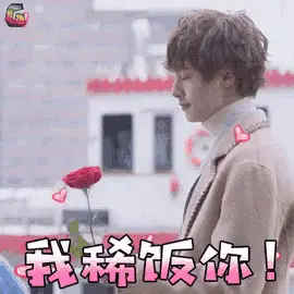喜欢，花泽类，流星花园