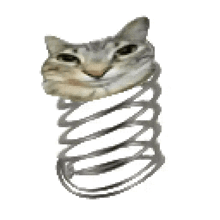 GIF uploaded by Kitty