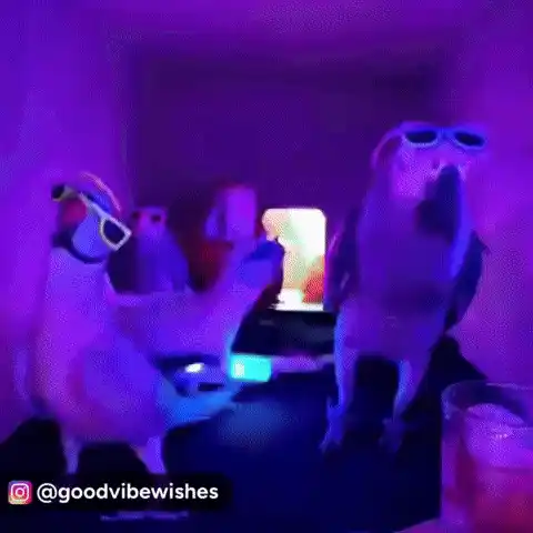 Funny Dance Funny Moment
