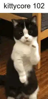 Kittycore Cat