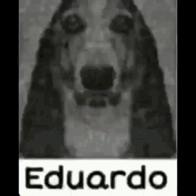 Eduardo Eduardo Dog