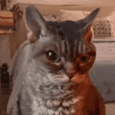 GIF učitao/la May