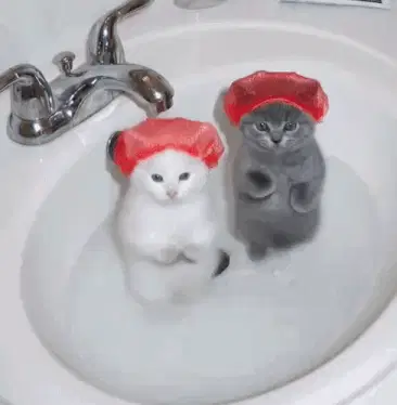 Cat Dance – tiktok memes meme GIF free download no watermark 2026