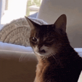 GIF uploaded by May