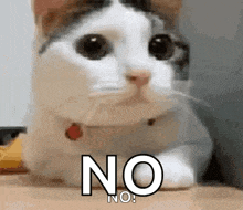 GIF nahrál Glyn