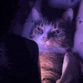 GIF uploaded by Tony