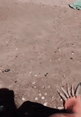 GIF