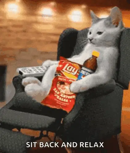 Cat Chilling – free GIF download | memes GIF | meme platform